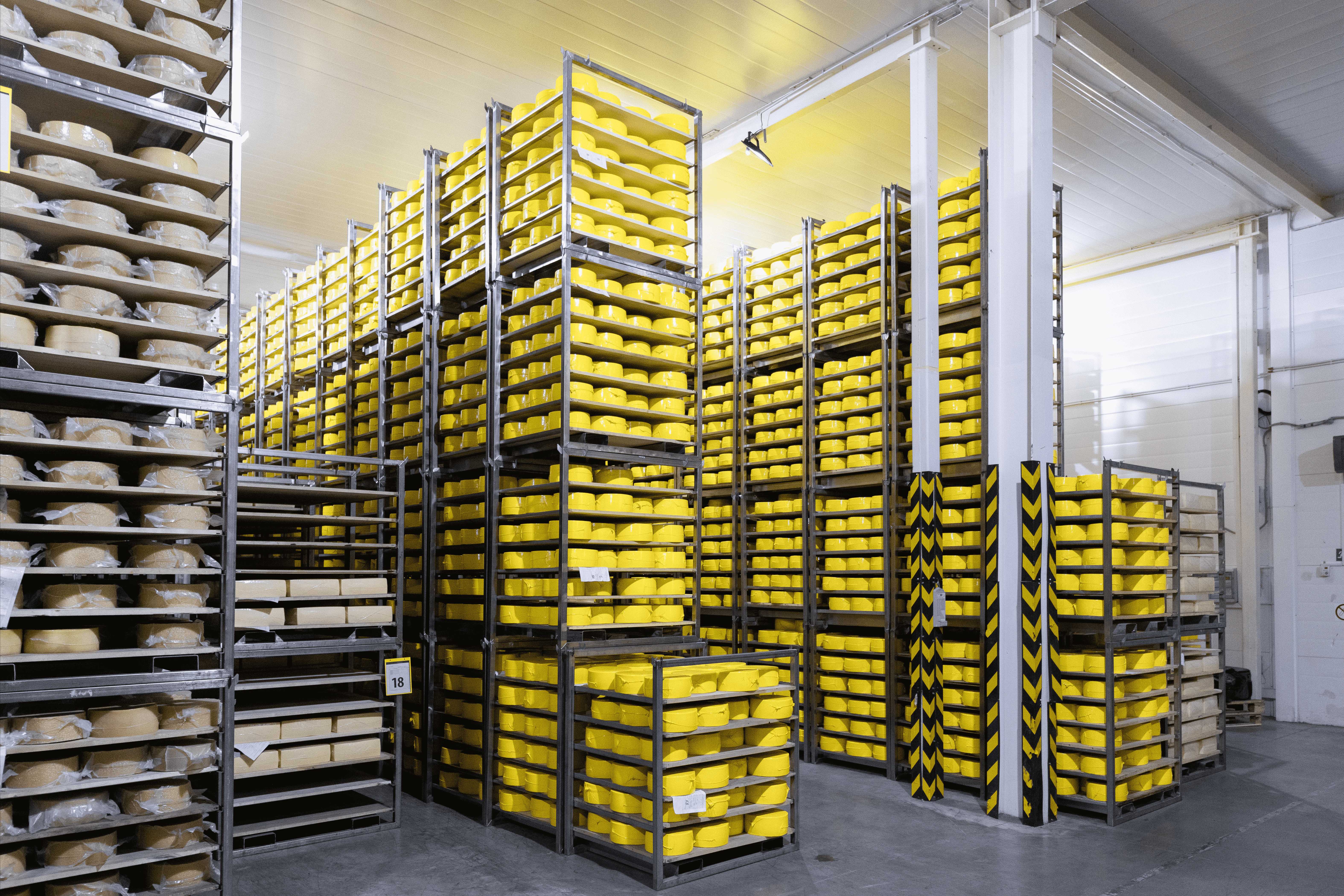 Specialized cheese aging warehouse with temperature-controlled storage systems
